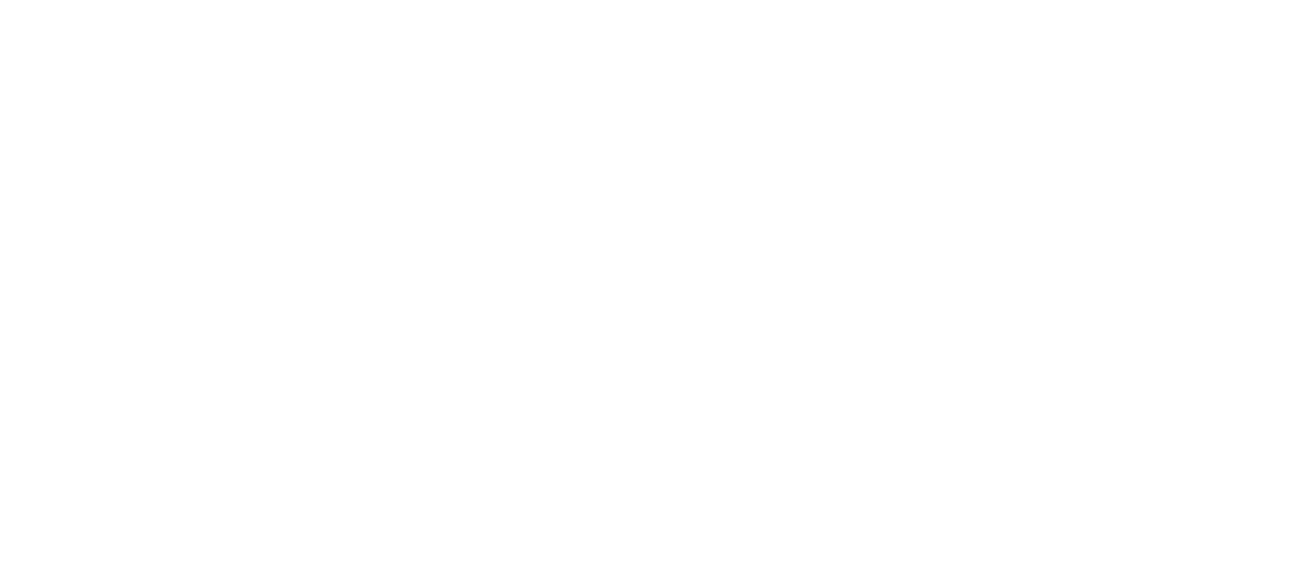 Brain[prt Scholen diap